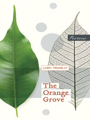 cover image of The Orange Grove